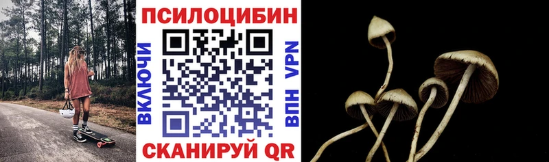 цены   Губкин  Галлюциногенные грибы GOLDEN TEACHER 