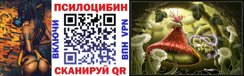 Псилоцибиновые грибы мухоморы Губкин