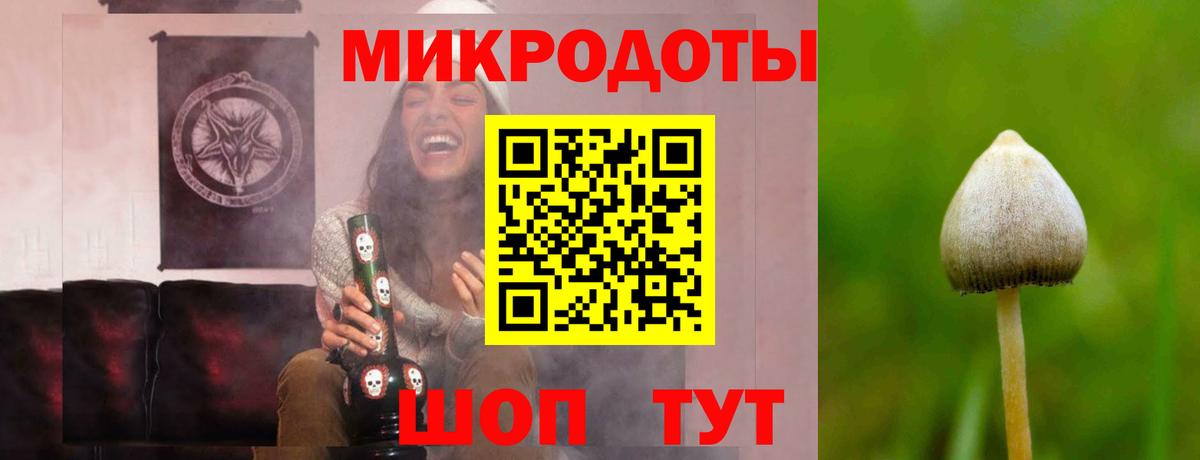 Губкин  Галлюциногенные грибы ЛСД  Вход с VPN 